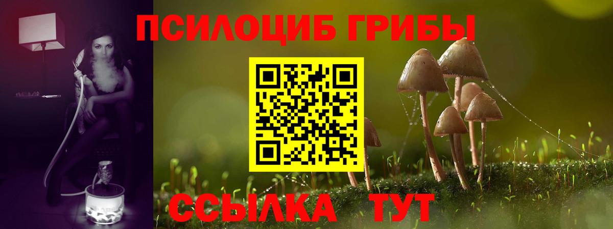 Галлюциногенные грибы Magic Shrooms  Вход с VPN  Каменск-Уральский 